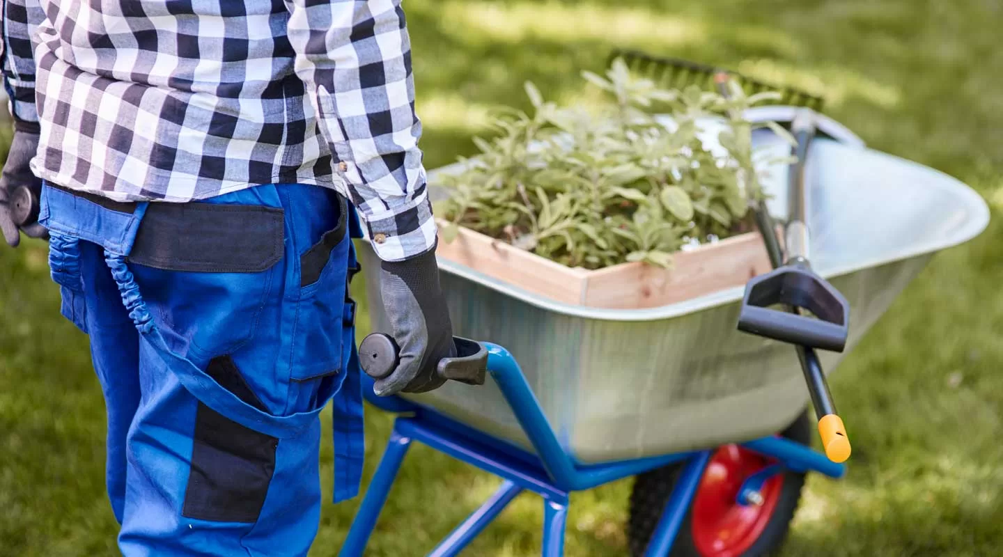 Market House Scavi - Noleggio attrezzature per giardinaggio e manutenzione del verde 